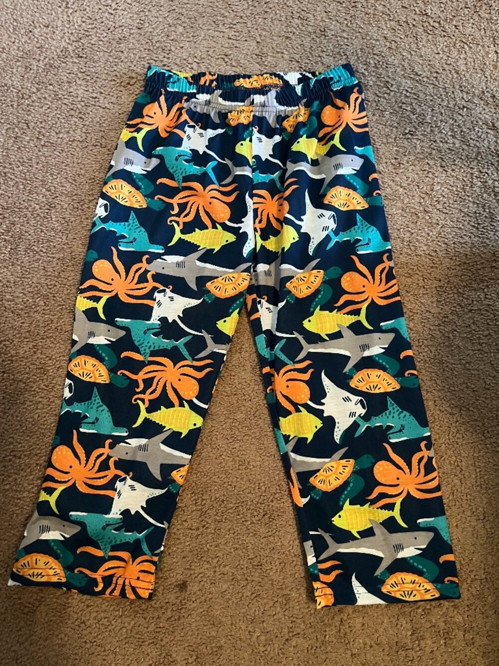 Carter's Boys Pajama Pants Size 5T/5A NWOT